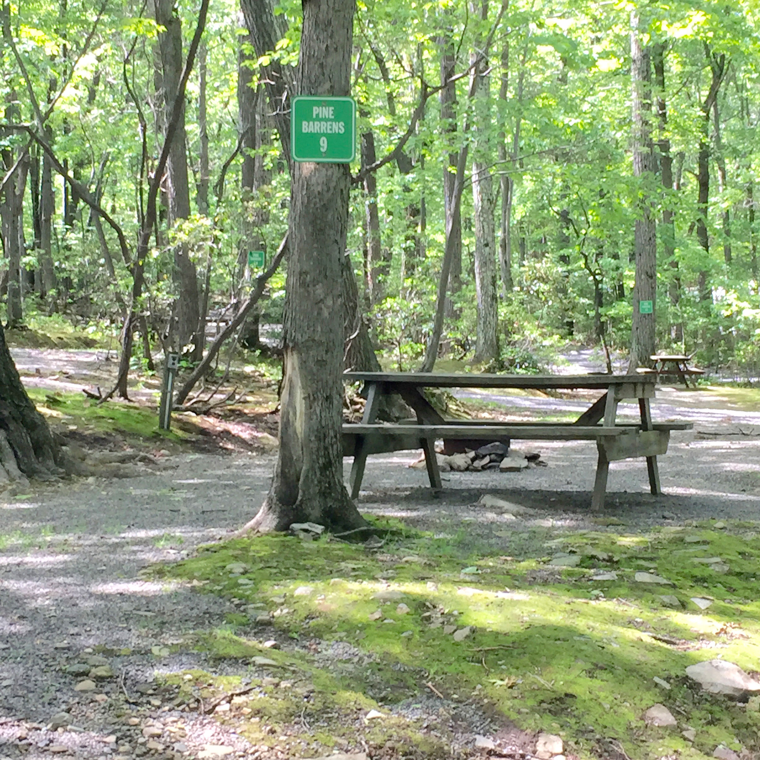 Playground for all ages