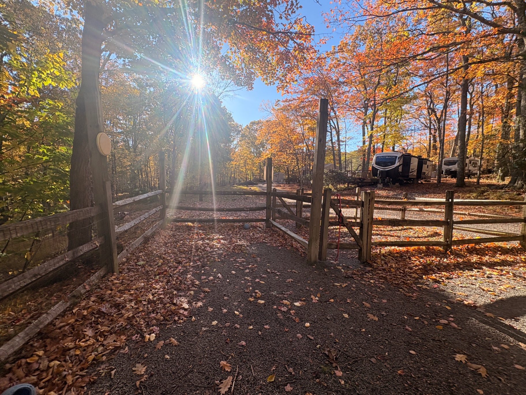The fenced dog run's gated entrance built from split-rail fencing with wire mesh, autumn trees and parked campers beyond